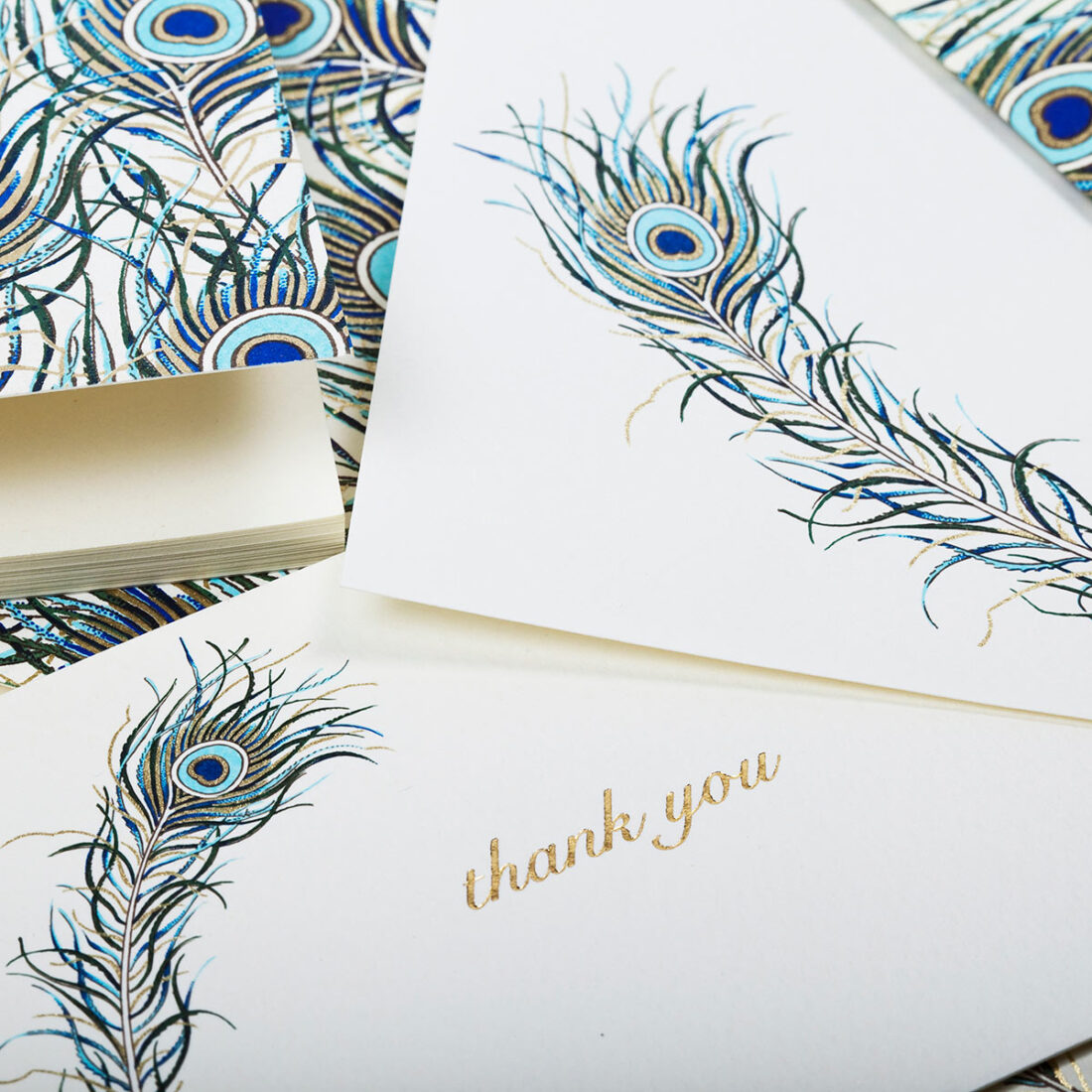 classica-italiana-peacock-feathers-cotton-cards